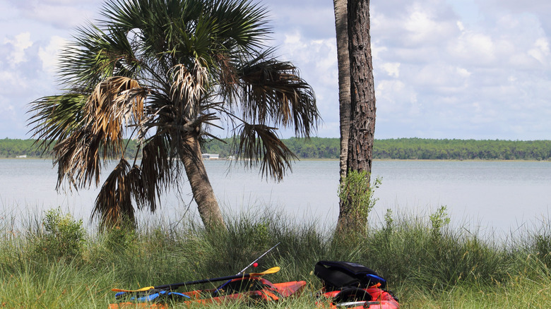 View of two kayaks on St. Vincent National Wildlife Refuge