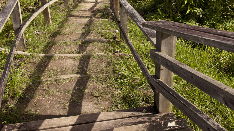 The Tet Paul Nature Trail steps within gorgeous jungle scenery in St. Lucia