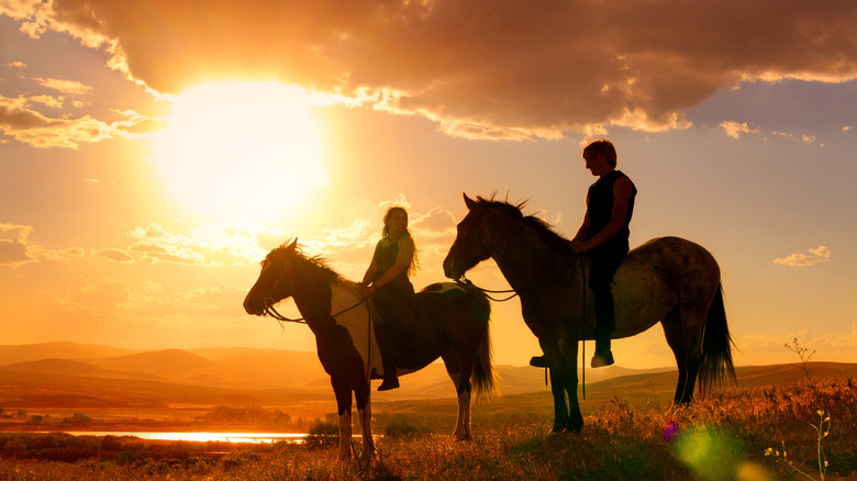 Horse riders in the sunset