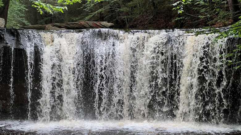 Oneida Falls in Ricketts Glen State Park