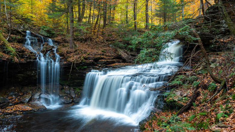 A long exposure of a waterfall at Ricketts Glen State Park