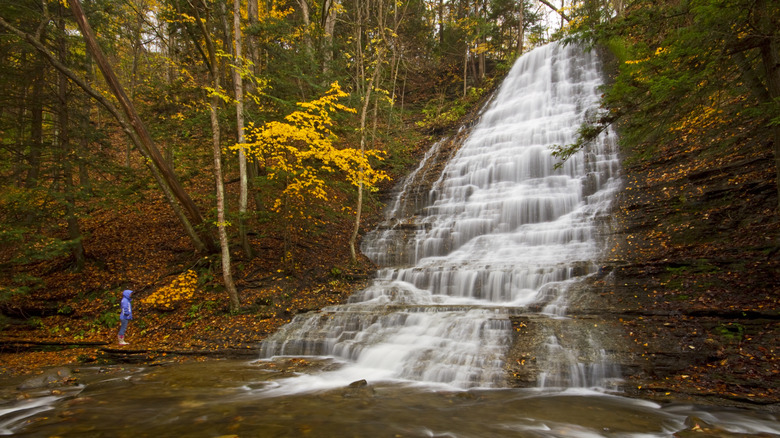 Waterfall in Grimes Glen in Naples, New York