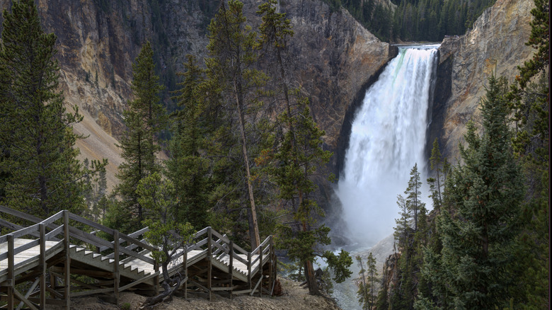 Yellowstone Falls, Yellowstone National Park