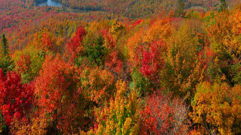 Fall views from Mount Arab's fire tower in the Adirondack Mountains in New York