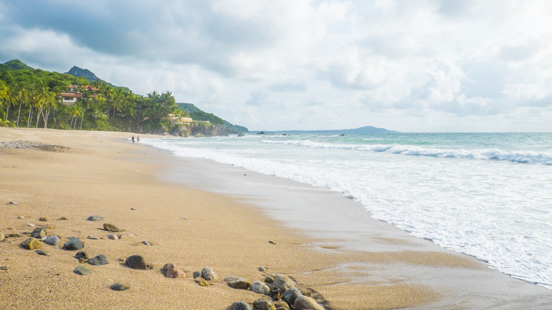 Sandy beach backed by jungle and small foamy waves in Nayarit, Mexico