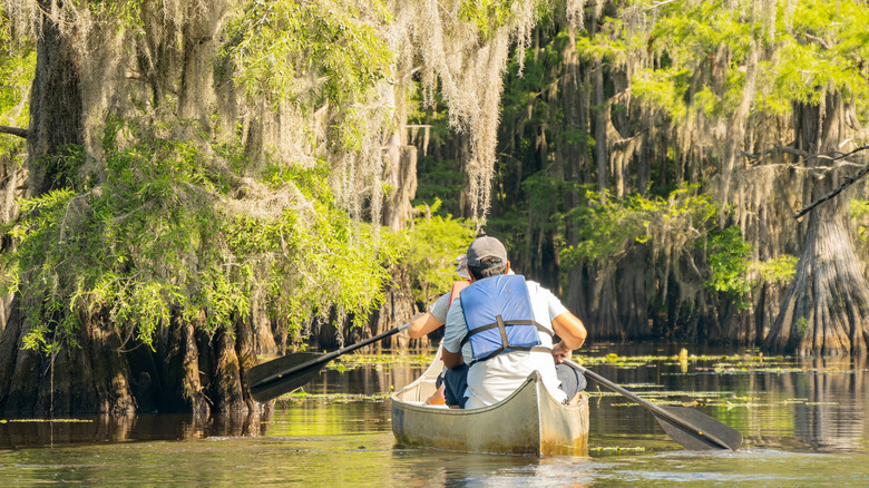 People paddling on the bayou on Caddo Lake