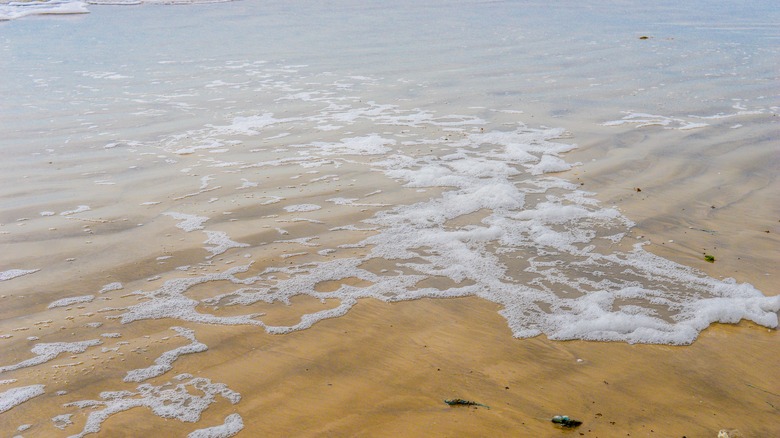 Waves on Jamaica Beach, Texas