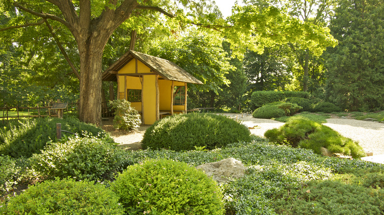 A garden at Carleton College in Northfield