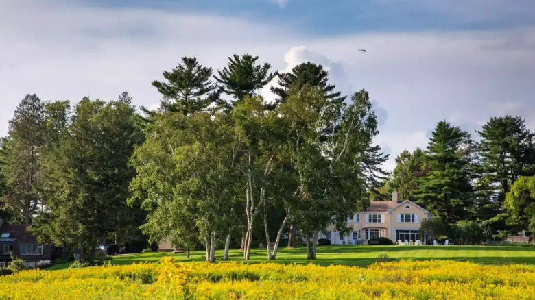 Yard and main building at Devonfield Inn