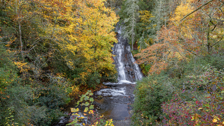 Connestee Falls during the fall with colorful foliage.