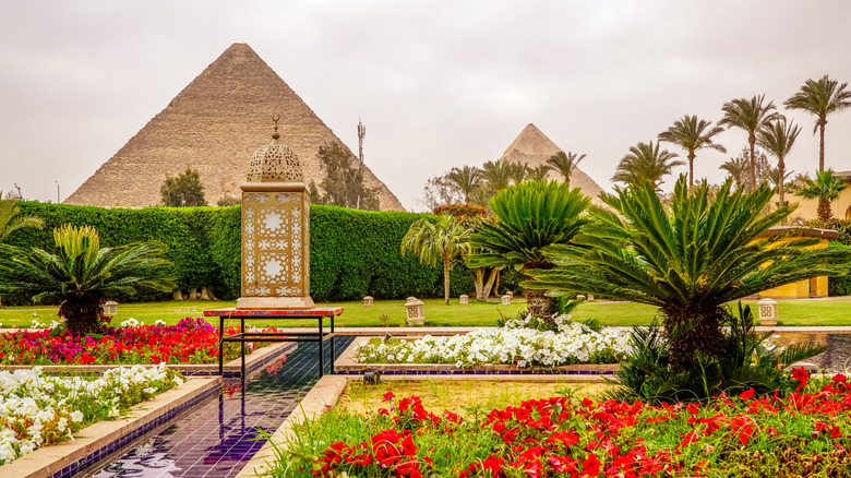 View of the pyramids from the Marriott Mena House's landscaped gardens