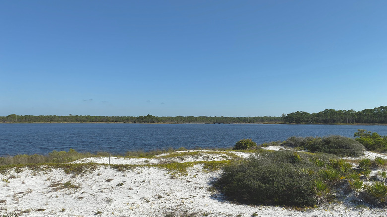 View of Western Lake in Grayton Beach State Park