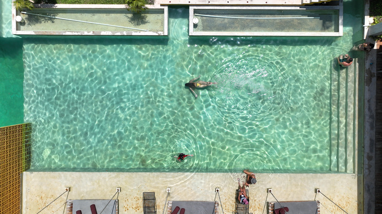 Aerial view of guests swimming in green pool