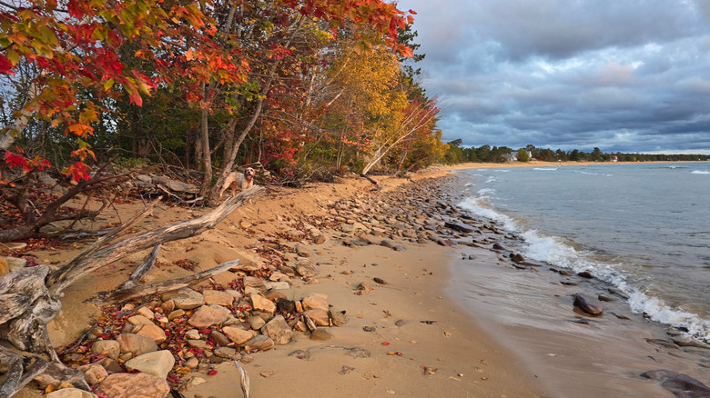 The Lake Superior shoreline near Fresh Coast Cabins