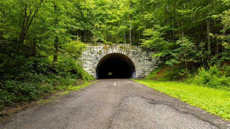 The Tunnel to Nowhere, Lake View Drive Tunnel