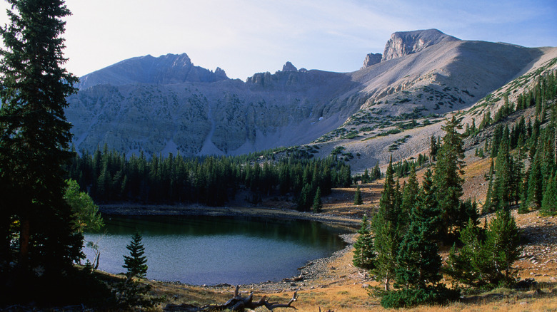 Great Basin National Park landscape with a lake