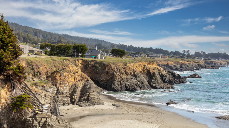 A view of the cliffs of Sea Ranch, California