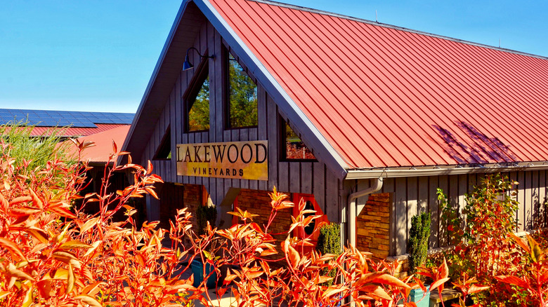 Foliage surrounding the Lakewood Vineyards building in Watkins Glen, New York