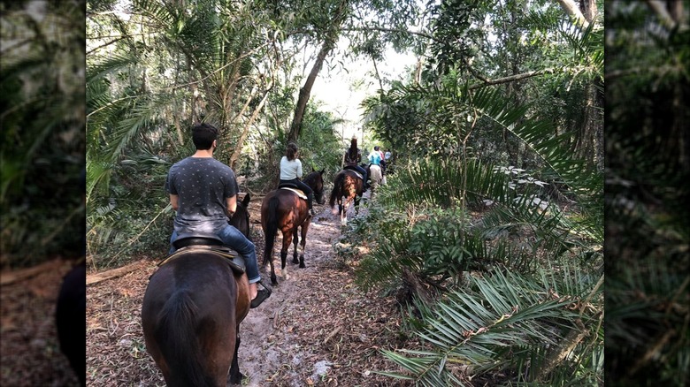 Horseback riding at Tradewinds Park in Coconut Creek