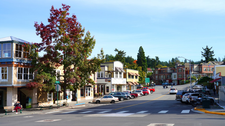 Street view of Friday Harbor, Washington