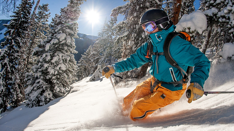 Person skiing down a snowy mountain with trees in the background