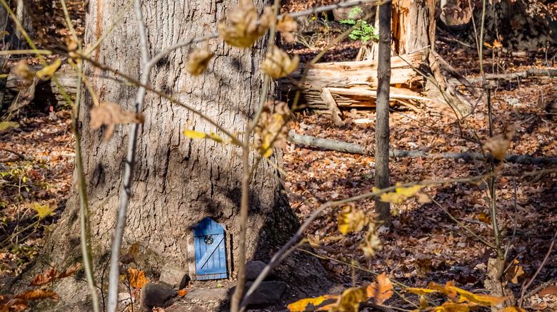 A little blue door in a tree trunk on the South Mountain Fairy Trail, New Jersey