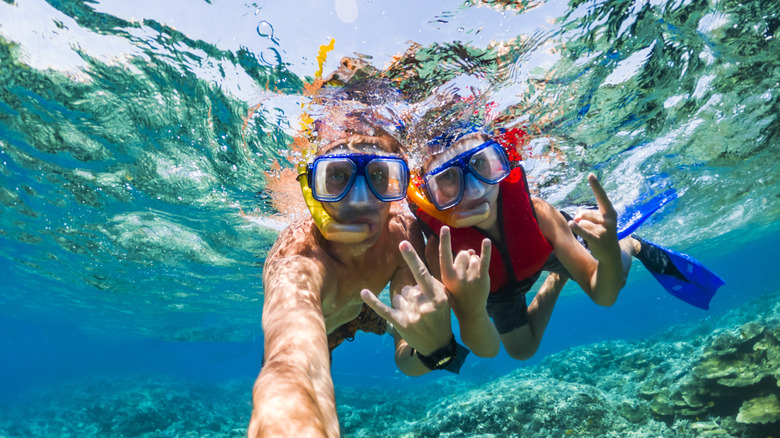 People snorkeling