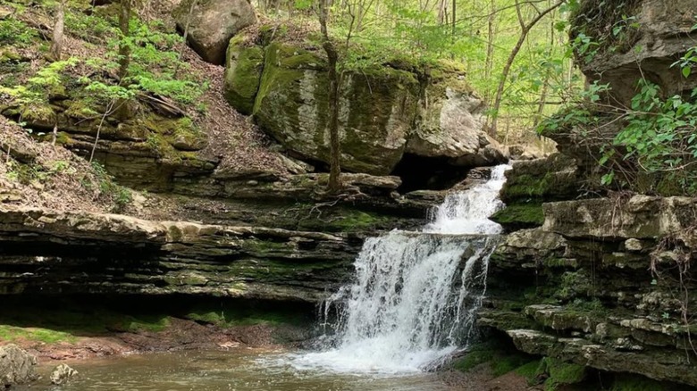 Little Sauty Falls on Point Rock Trail in Buck's Pocket State Park