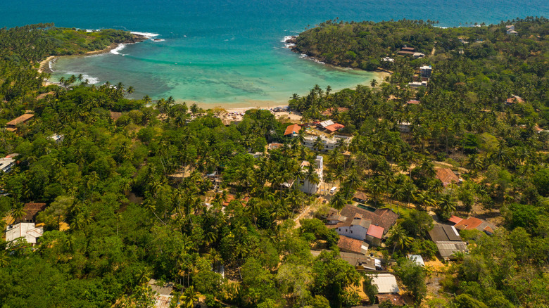 An aerial view of the crescent-shaped Hiriketiya beach in Sri Lanka on a clear day