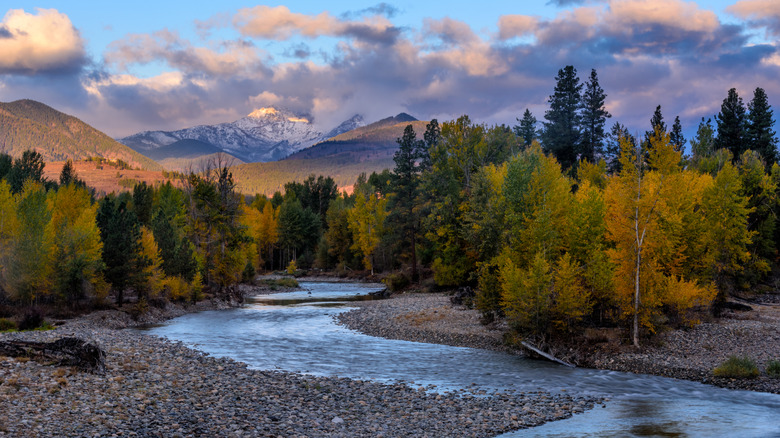 Stream and forest landscape outside Winthrop, Washington