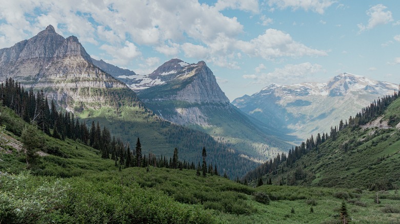 View of mountains during the day in Glacier National Park