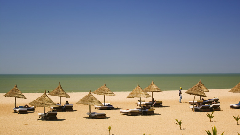 Thatched umbrellas on a beach in The Gambia