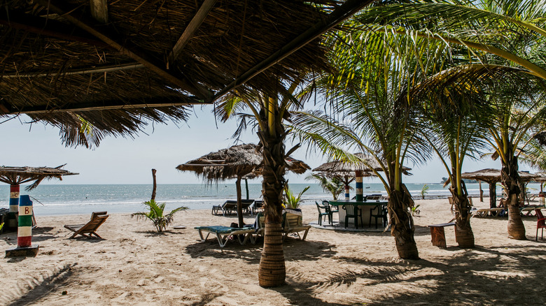 Beach umbrellas and palm trees on The Gambia's coastline