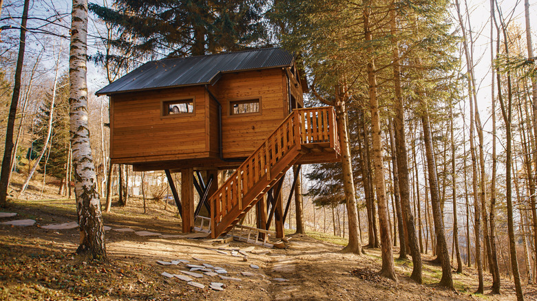 Tree house rental in woods 