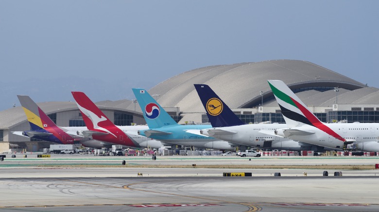 Plane tails lined up at LAX airport