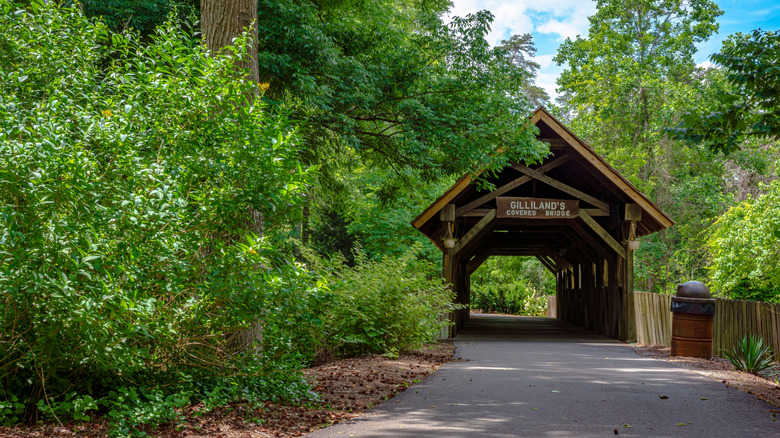 A path surrounded by lush vegetation leading to Gilliland's covered bridge