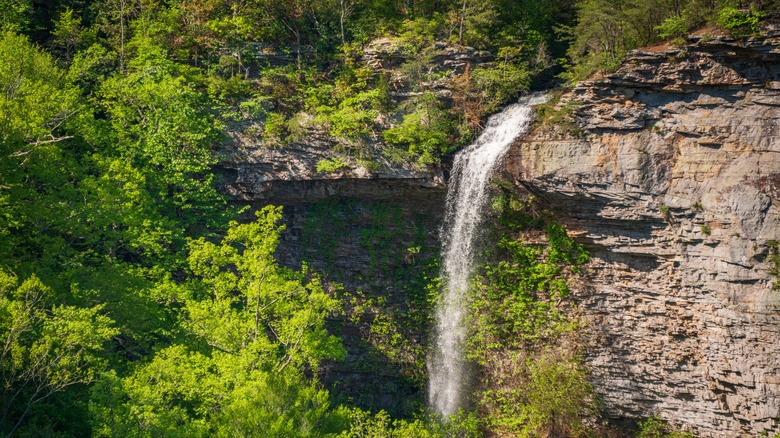 Powerful waterfall and sheer sandstone cliifs in Alabama's Little Canyon River National Preserve