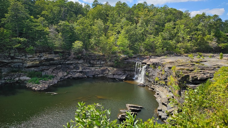 Little Canyon River National Preserve falls surrounded by trees in Alabama