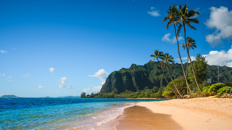 A view of Ka'a'awa beach park on the island of Oahu