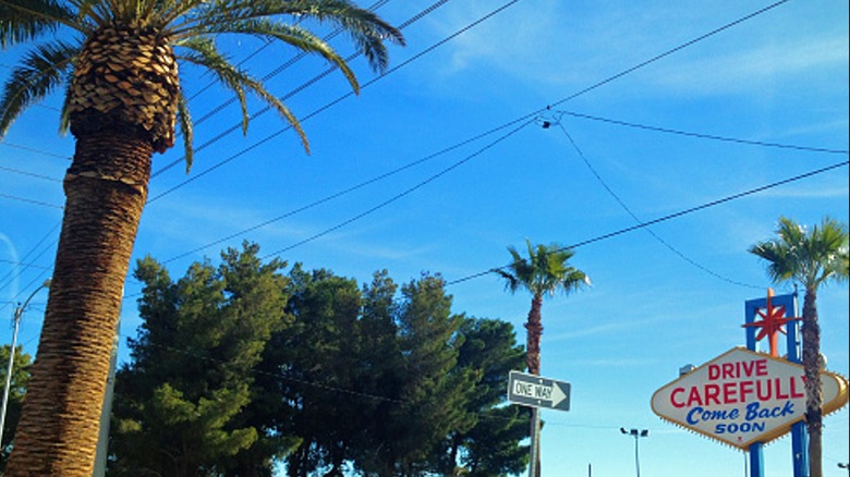 Palm trees and blue sky above leaving Las Vegas sign