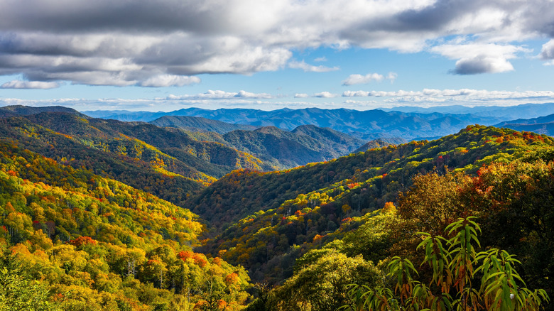 Great Smoky Mountains National Park