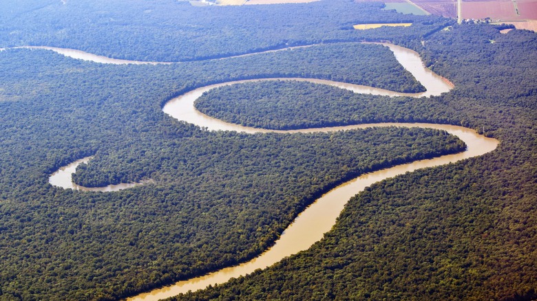 The winding Mississippi River