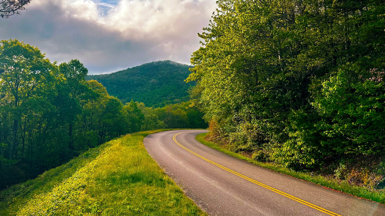 The enchanting Blue Ridge Parkway on a sunny day