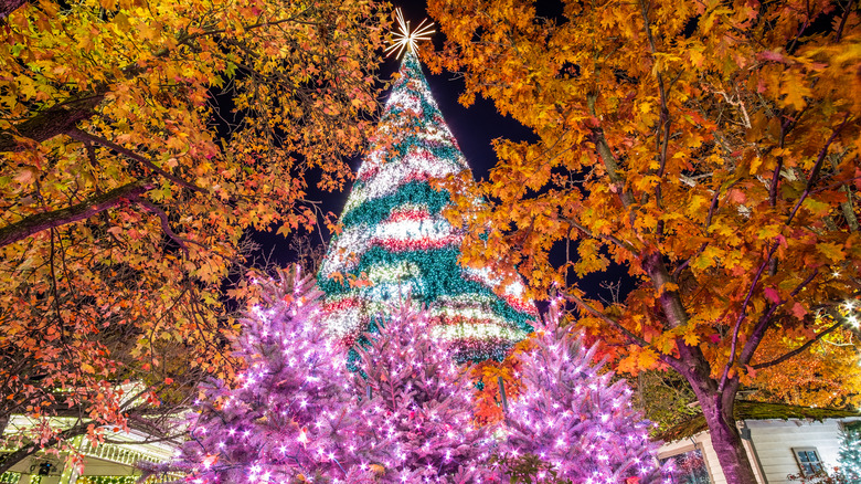 Christmas tree in Branson, Missouri