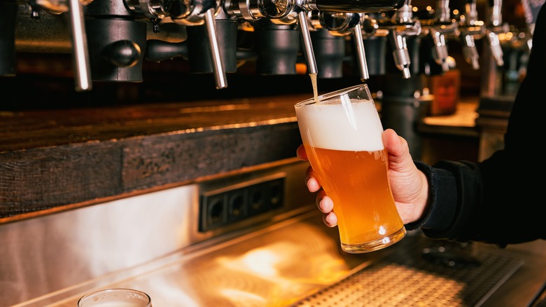 Pouring a beer from a draught