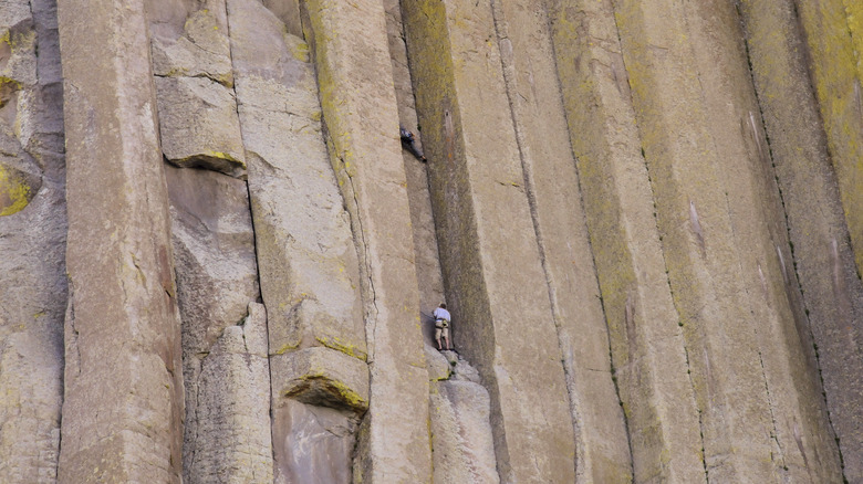 A person climbing Devils Tower