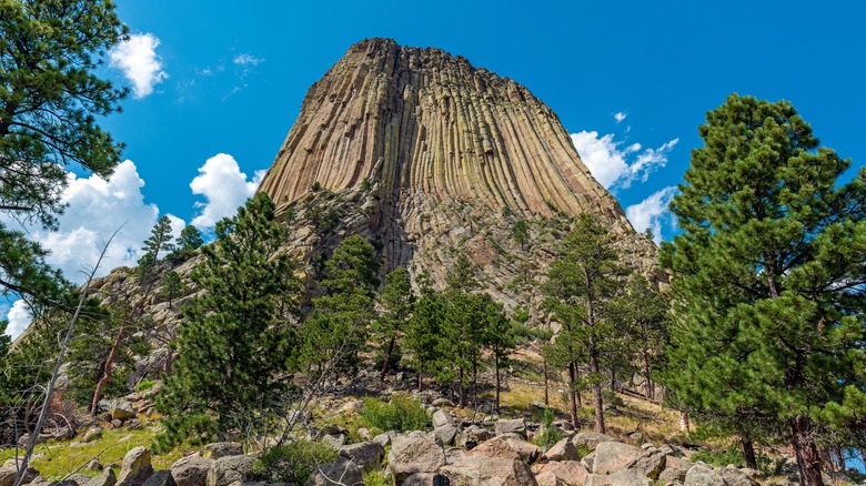 Looking up at Devils Tower from near its base