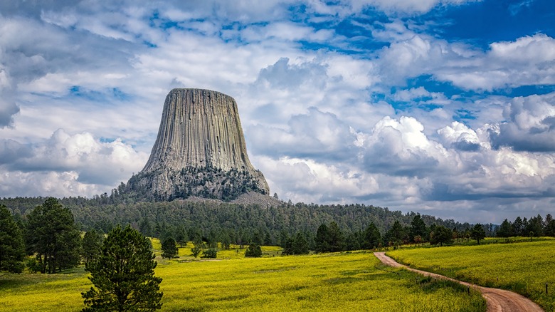 Devils Tower with a dirt trail in the foreground