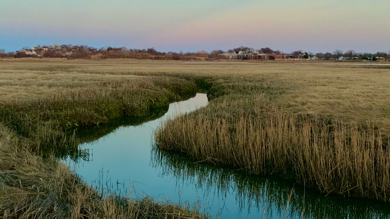 Belle Isle Marsh Reservation, near Revere Beach, Massachusetts