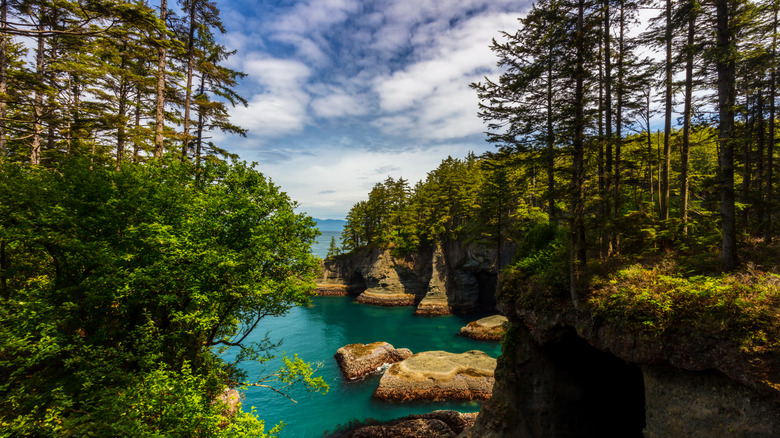 Cape Flattery